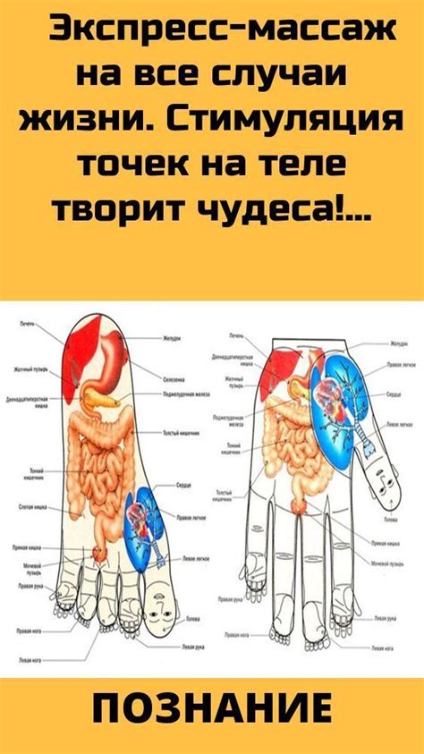 Стимуляция активности точек на теле: магниты усиливают массажный эффект