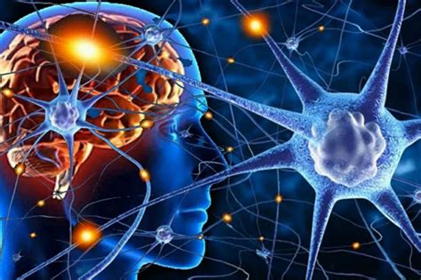 Стимуляция мозга: тренируйте свои когнитивные способности и укрепляйте нейронные связи