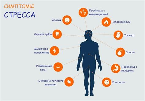 Стресс и его влияние на состояние микроорганизмов в организме