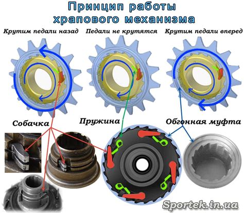 Структура и принцип работы ключевых компонентов механизма скоростей велосипеда