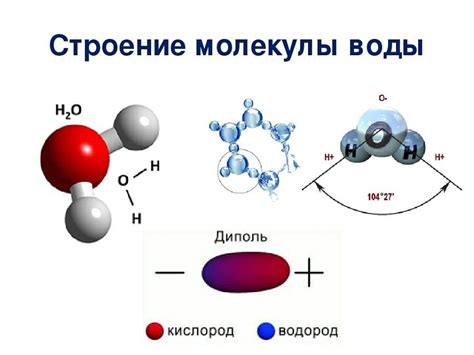 Структура и форма молекулы 01: основополагающие характеристики
