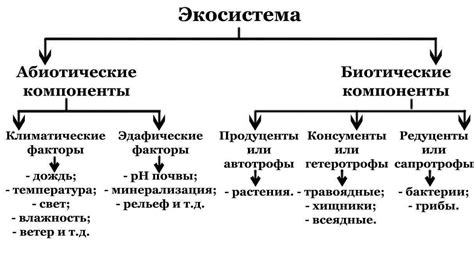 Структура и функции основных компонентов тепловоза