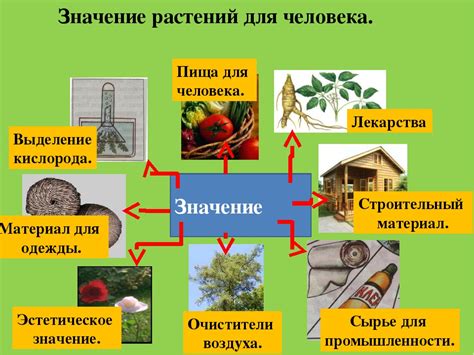 Суть и роль специального элемента в грунте