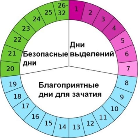 Суть процесса овуляции и его роль в планировании беременности