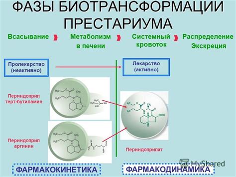 Существенные отличия в составе обычного Престариума