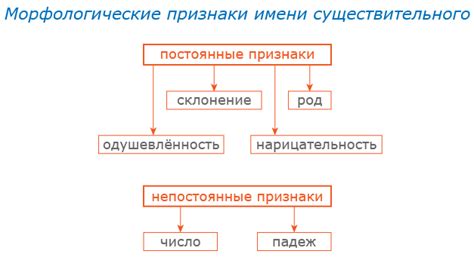 Существительные: основные признаки и способы определения