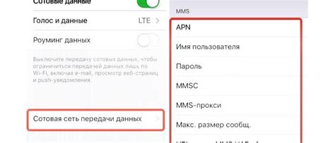 Сущность и потенциал функции ММС на новом поколении iPhone