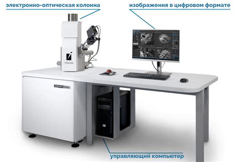 Сэм микроскоп: открытие микромира