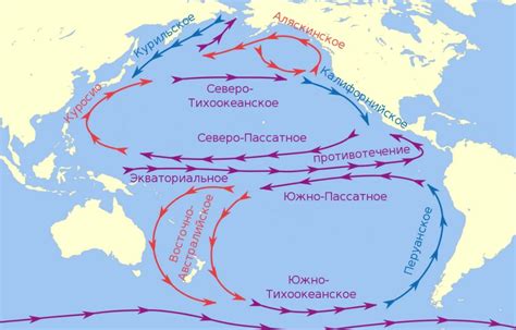 Таиги и холодные таиги