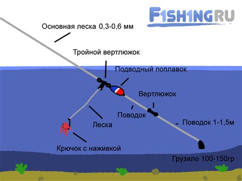 Тайны правильной сборки снасти для пойманья сома