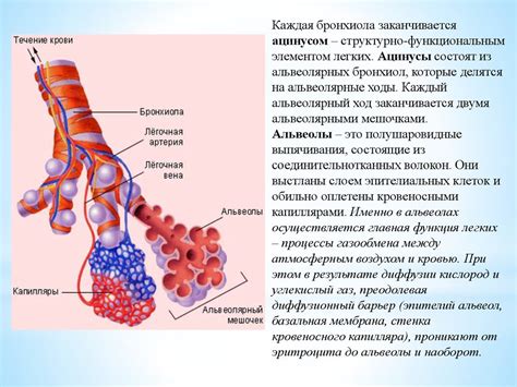 Тема 1: Ухудшение легочной функции и снижение емкости легких