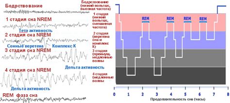 Тема 2: Сокровенные аспекты рыболовного сна и их разгадка