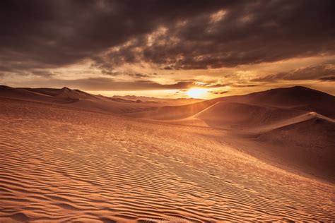 Темное влияние пустыни: кто стоит за воскрешением умерших?