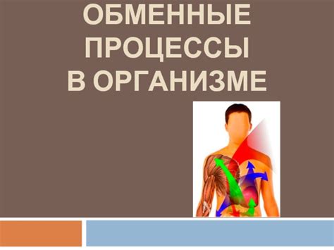 Тепловые процессы в организме и их связь с ощущением неприятного жара и неудобства