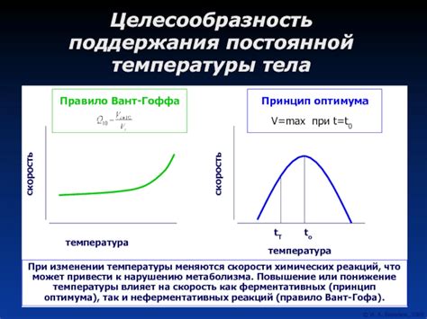 Термохимия: изучение реакций при изменении температуры