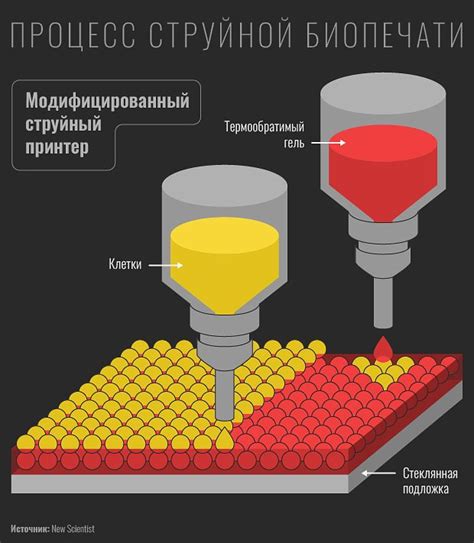 Технология скрытых сообщений: принцип работы скрытых чернил