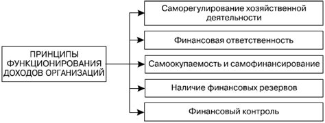 Тифлофлешплеер: сущность и принципы функционирования