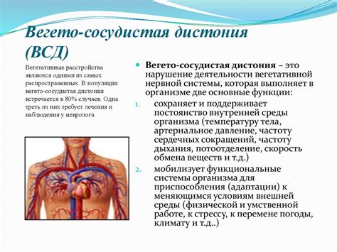 Тщательное анализирование функционирования организма в условиях вегето-сосудистой дистонии и ее последствия