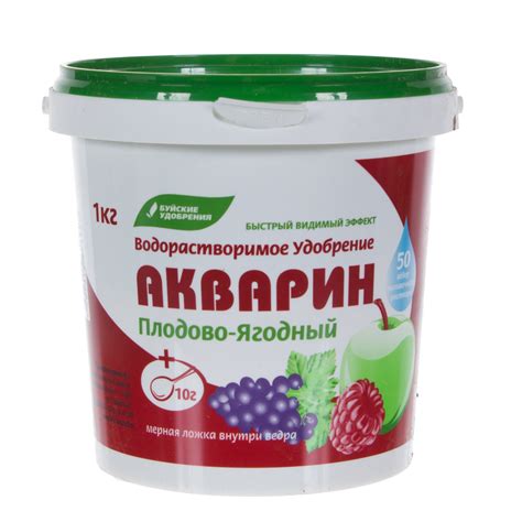 Удобрение и подкормка: как обеспечить питательный рацион для колеуса в холодное время года