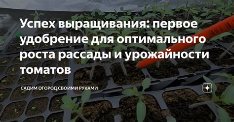 Удобрение купены для оптимального роста