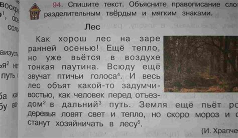 Узнайте, как эффективно проверить правильность написания безударного окончения прилагательных