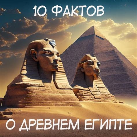 Узнайте больше о древней и загадочной истории сотрудничества человека и дельфина