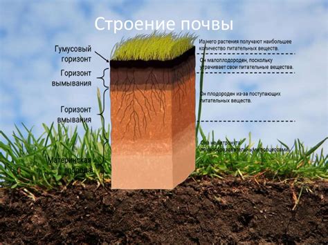 Улучшение структуры почвы и сохранение влаги