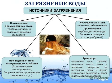 Усиление потребности в воде: факторы и последствия