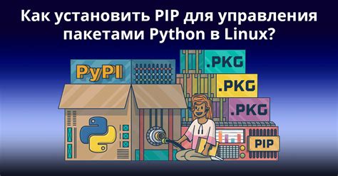 Установка и использование инструмента для управления пакетами в языке программирования Python