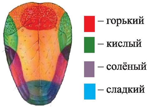 Установка необходимого языка и временной зоны на вашем умном часах