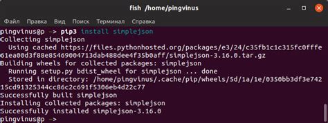 Установка пакета pip на операционной системе Linux с использованием инструмента управления пакетами