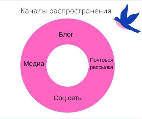 Установка соответствующего ПО: неотъемлемая часть успешного взаимодействия