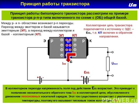 Устройство и принцип работы транзисторов с центрально расположенной базой