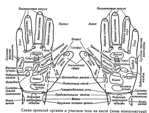 Ухаживайте за кожей своих рук и выполняйте массаж для достижения более тонких пальцев