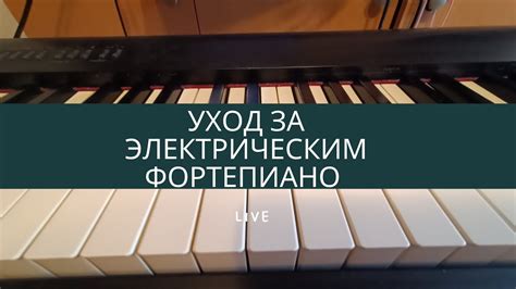 Уход за электрическим агрегатом: правила чистки и правильное хранение