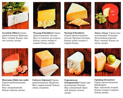 Учет внешнего облика и структуры различных видов сыра