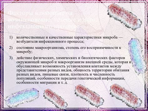 Факторы, влияющие на возникновение патологических изменений в позвоночнике