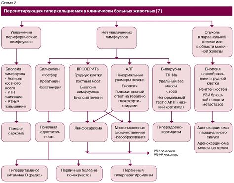 Факторы, приводящие к снижению уровня кальция при состоянии запоя