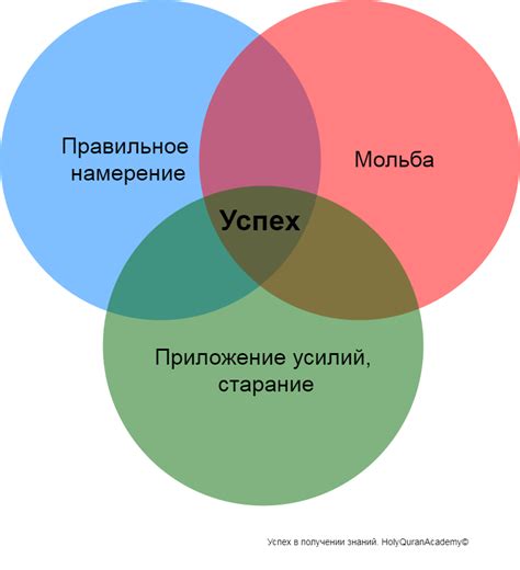 Факторы успеха в современном мире: важность комбинации навыков и компетенций