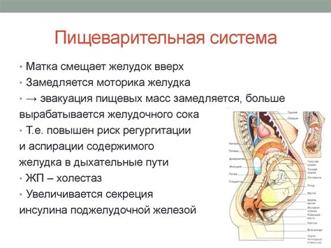 Физиологические изменения организма во время поцелуя