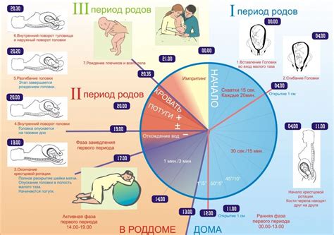 Физиологические изменения после родов