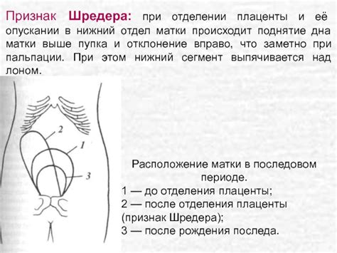 Физиологические процессы при отделении плаценты