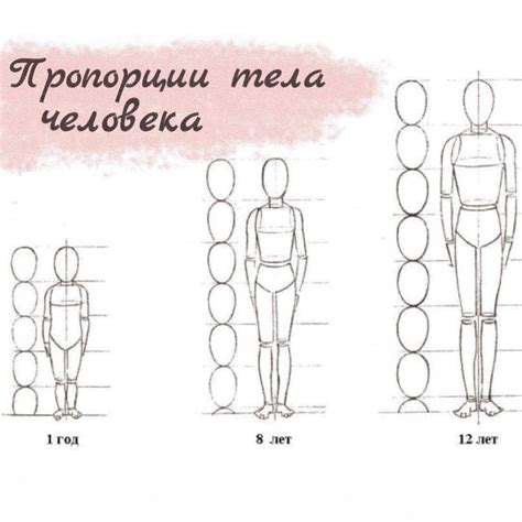 Форма и пропорции – секрет гармоничного образа