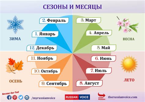 Форма месяца и полумесяца: основные отличия