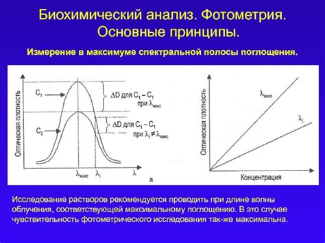 Формирование спектральной классификации: основные принципы