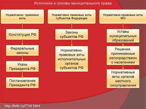 Функции и значимость муниципального поручения