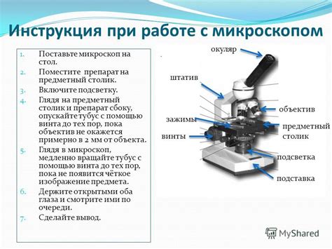 Функциональные возможности сэм микроскопа: от статического изображения до анализа поверхности