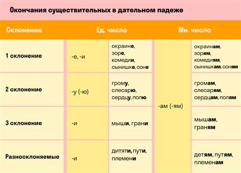 Функция выявления особенностей существительных в русском языке