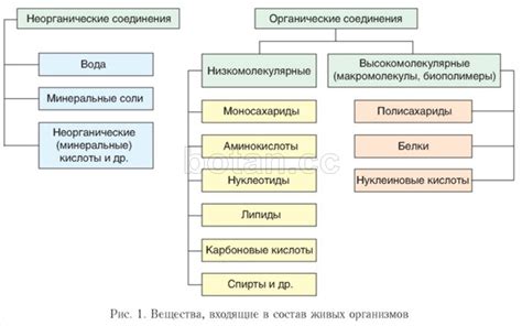 Характеристика вещества и причины его присутствия в экскрементах