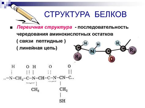 Химическое строение и состав: уникальные особенности и структура